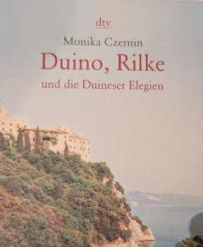Cover – Foto aus Telegram